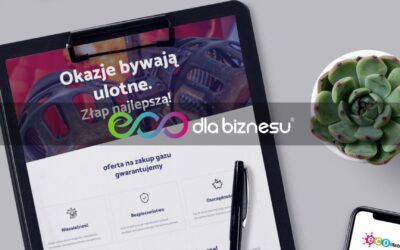 Gdzie szukać oszczędności na gazie dla firm?
