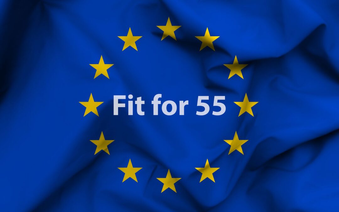 Pakiet Gotowi na 55 (Fit for 55) – co oznacza dla Polski?