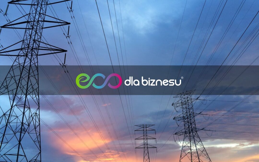 Dynamiczny rozwój niezależnego sprzedawcy energii Axpo