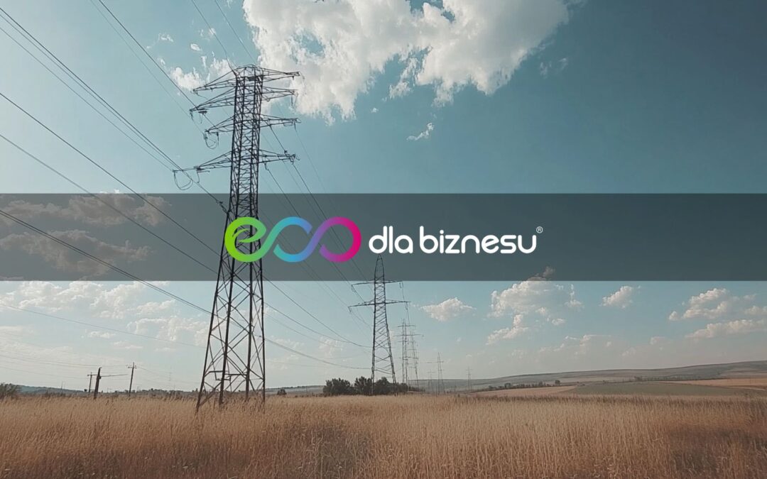 Dlaczego prąd drożeje a ceny energii w Polsce są coraz wyższe?