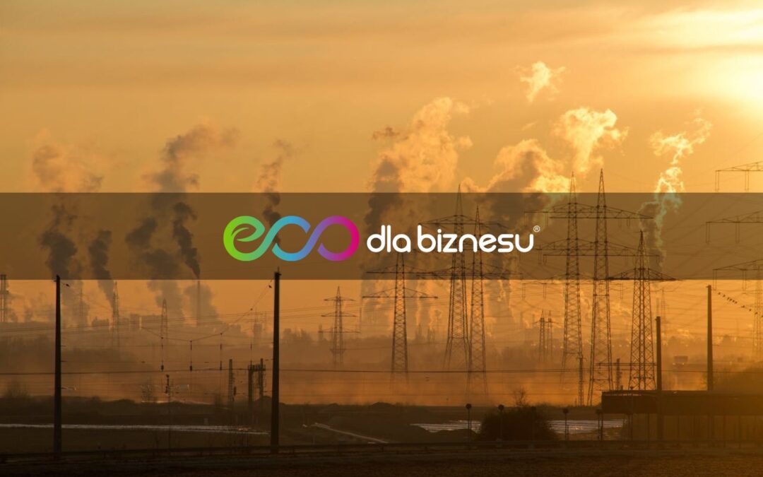 Dekarbonizacja Unii w impasie – co nowego?
